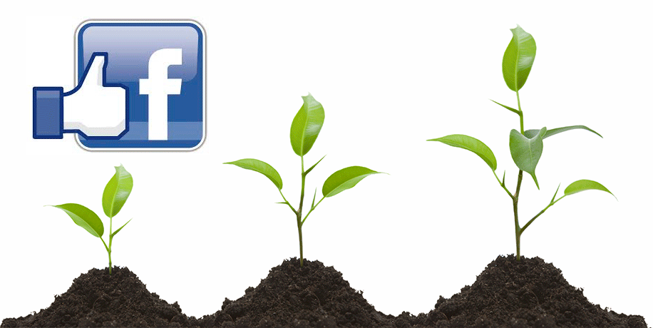 come non essere bannati su Facebook